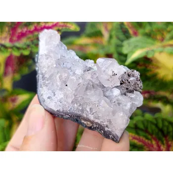 Přírodní kámen Ametyst drúza 80g (Brazílie)