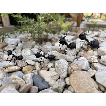 Obraz Kovový mravenci - set 4ks