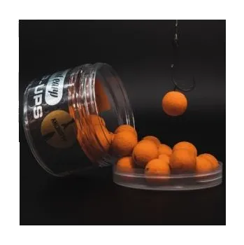 Boilies Squat Carp Pop-Up Anchovy+ 16mm 60gr