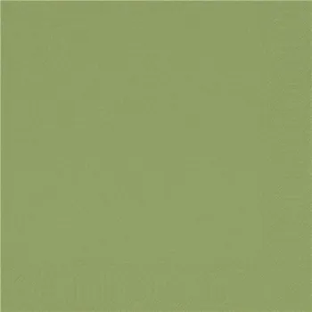 Papírový ubrousek Ubrousek 24 x 24 cm 2vrstvý světle zelený, 300 ks 100021543