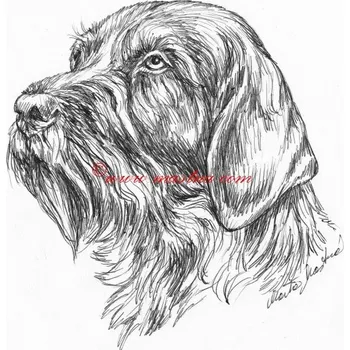 Samolepka německý ohař drsnosrstý, český fousek - archiv c578 - Malá - přibližně jako pohlednice