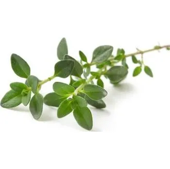 Herbarium Tymián Hmotnost: 20 g