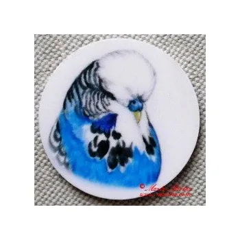 Dekorativní magnet Papoušek vlnkovaný, andulka magnet nebo placka - Magnet