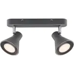 Moderní dvojité spotové svítidlo NORDLUX Eik Barva: Šedá