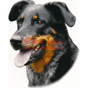 Samolepka beauceron harlekýn 546
