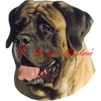 Samolepka mastif archiv 128