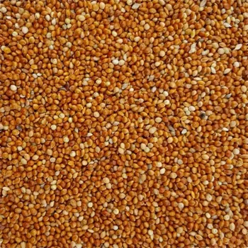 Pro ptáka Proso červené, žluté a čtyřbarevné 25 kg