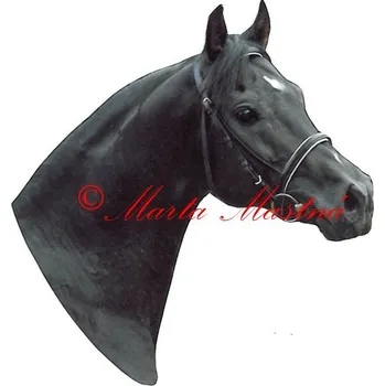 Samolepka shagya arab Galán, kůň, koně