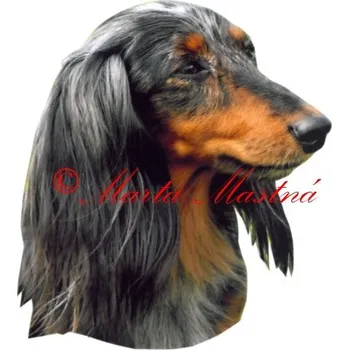 Samolepka jezevčík harlekýn - archiv 233