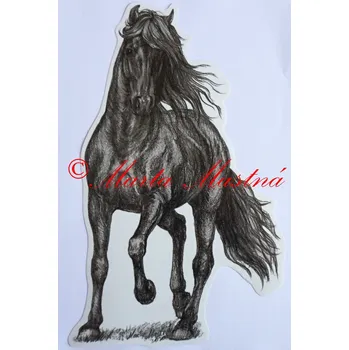 Samolepka vraník, kůň, koně c638 - Malá - přibližně jako pohlednice