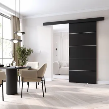 Interiérové dveře Posuvné dveře STANDART B100, Černá