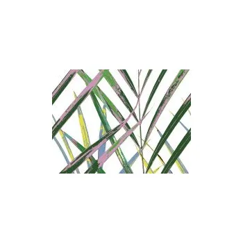 Obkladové panely do interiéru Vilo - Motivo PD330 Fun - Jungle /0,33 x 2,65 m