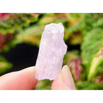 Přírodní kámen Krystal kunzit surový 6,0g z Pákistánu