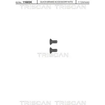Brzdový kotouč Sada żroubů, brzdový kotouč TRISCAN 8105 116006