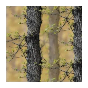 Polep vozidla Stickerbomb TLKN-386 auto wrap fólie 152x1500cm - interiér/exteriér