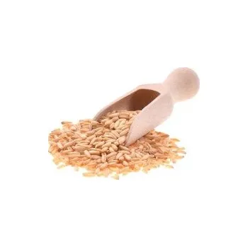 Příloha Oves bezpluchý 500 g VIA NATURAE