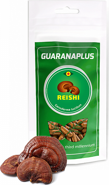 Reishi 100 kapslí