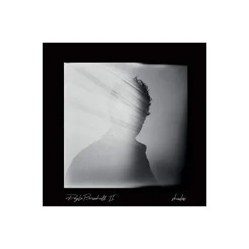 Zahraniční hudba Shades / Digisleeve - Bramhall Doyle II [CD]