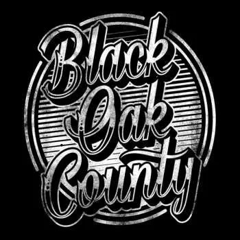 Zahraniční hudba LP Black Oak County: Black Oak County 2019 Incl Download Card Vinyl
