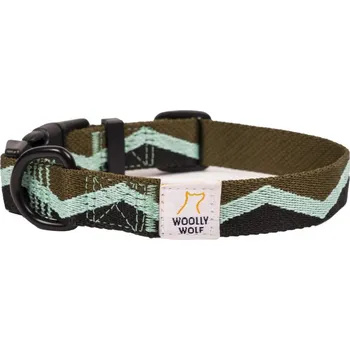 Obojek pro psa OBOJEK EUCALYPTUS ZELENÝ 25 - 35 cm