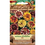 MoravoSeed Ostálka Haageova mix 40 ks