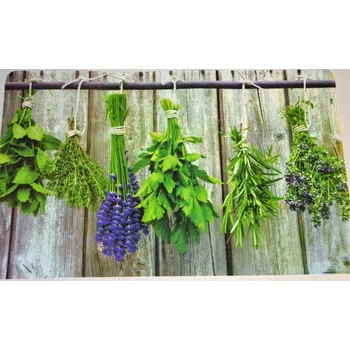 prostírání Prostírání v dekoru LEVANDULE a bylinek, plast 6 ks - 43*28 cm