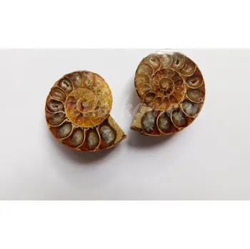 Přírodní kámen AMONIT Madagaskar - pár