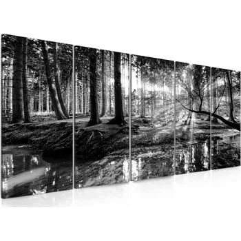 Obraz Malvis Obraz černobílá pohoda lesa Velikost: 100x45 cm