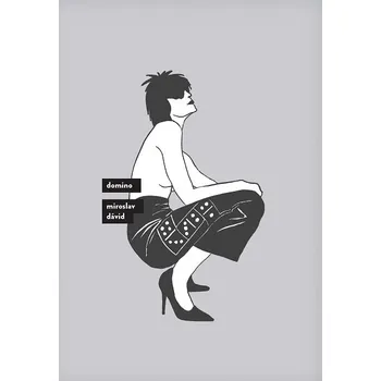 Kniha Domino - Miroslav Dávid (E-Kniha)
