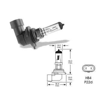 Autožárovka 12V HB4 80W P22d, Elta