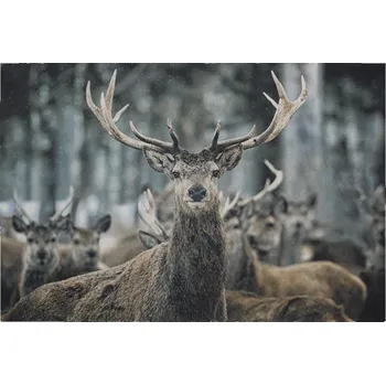 Rohožka Šedá podlahová rohožka jelen - 75*50*1cm