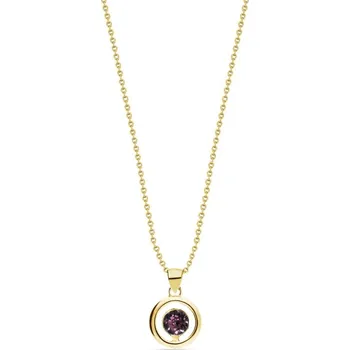 Náhrdelník Náhrdelník fialový se Swarovski Elements Punct Gold NCG1088SS18AM Amethyst