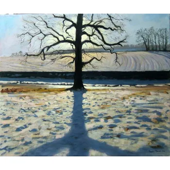 Plakát Plakát, Obraz - Tree and Shadow, Calke Abbey, Derbyshire, Andrew Macara