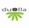 Duolla