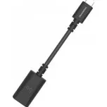 Audioquest DragonTail USB-C