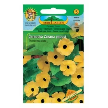 Semeno Nohel Garden Černooká Zuzana pnoucí 12 ks