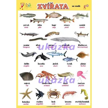 Pelíšek pro psa Zvířata - ve vodě XL (100x70 cm)