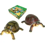 Rappa želva 2 ks