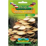 Nohel Garden Opěnka měnlivá 40 ks