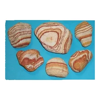 Rainbow Rounded, Tiger, 0,3-0,5 kg