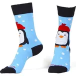 HEDVA ČESKÝ BROKÁT Ponožky Polárník Velikost: 35-38