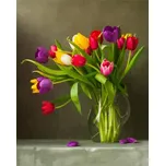 Gaira Malování podle čísel