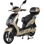 Racceway E-Fichtl 20 Ah