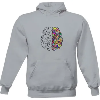 Pánská mikina Pánská mikina s kapucí s potiskem Panska mikina pro studenty pánské