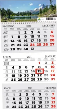 Kalendář Aria-Cards AKN191-21 nástěnný kalendář tříměsíční s okénkem 2021