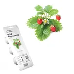 Click and Grow Lesní jahody kapsle se…