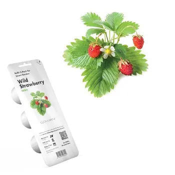 semena Click and Grow Lesní jahody kapsle se semínky a substrátem 3 ks
