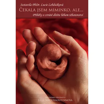 Čekala jsem miminko, ale... - Lucie Lebdušková (2015, brožovaná)