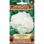 Moravoseed Květák pozdní Octavian 70 ks