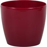 Orion Magnolia 15,5 cm